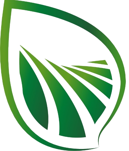 LOGO FONDO TRANSPARENTE