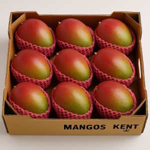 MANGO EN CAJA