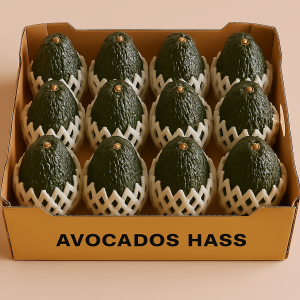 PALTA EN CAJAS